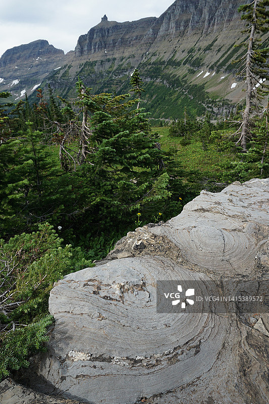 美国蒙大拿州冰川国家公园的元古代叠层石图片素材