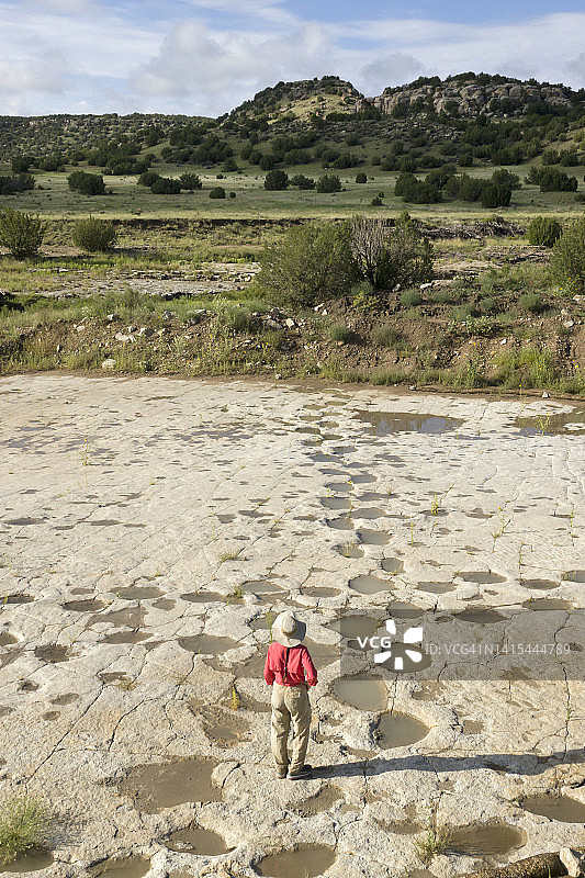 科罗拉多州派克特威尔峡谷，女人探索新发现的雨水填充的恐龙足迹图片素材