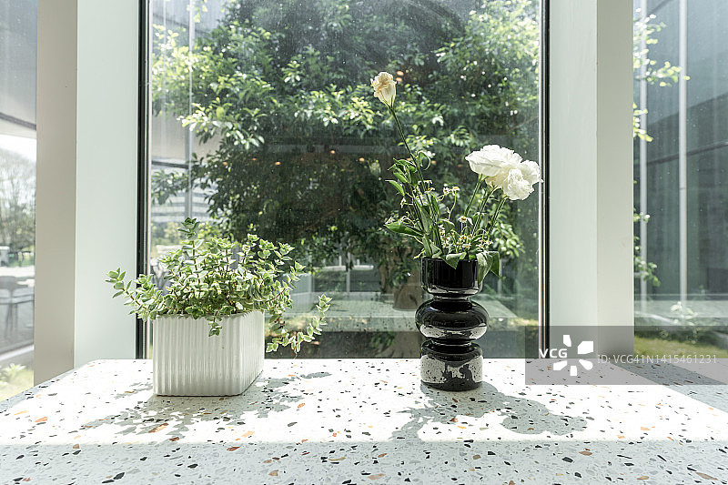 玻璃窗前的绿色植物和外面的树木图片素材