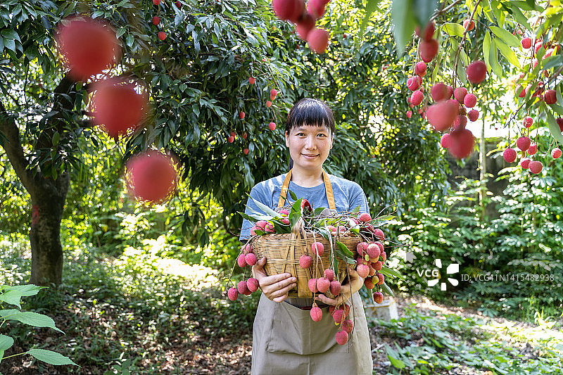 农民手中拿着一篮成熟的荔枝图片素材
