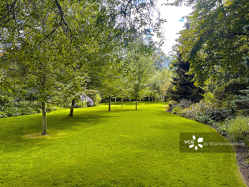 维多利亚芬尼蒂花园的树木与草坪图片素材