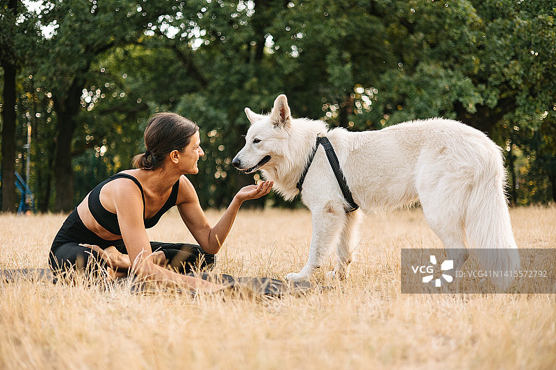 瑜伽老师和一只狗在草地上图片素材