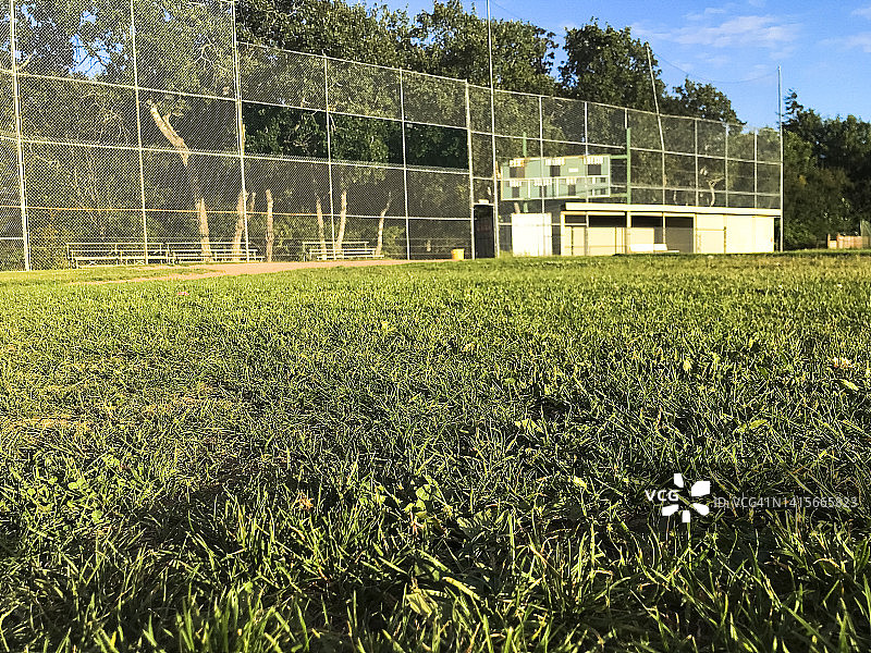 在草地上图片素材