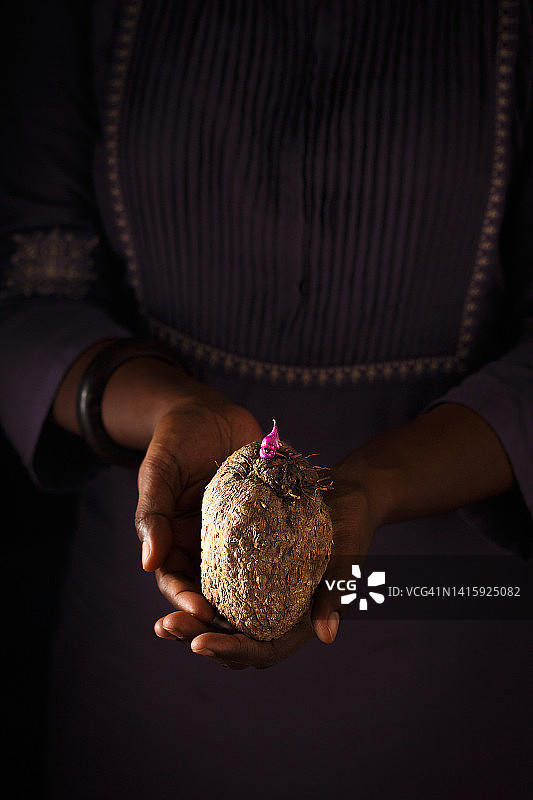 紫山药图片素材