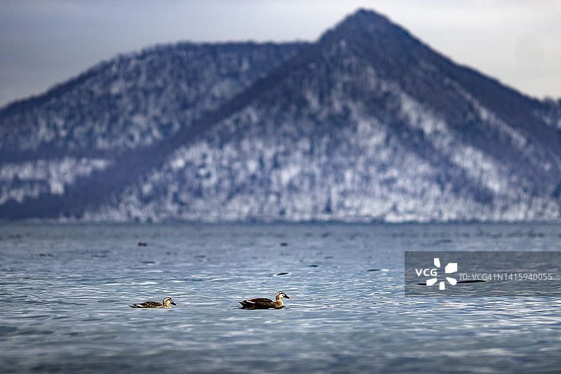洞爷湖雪山风景图片素材