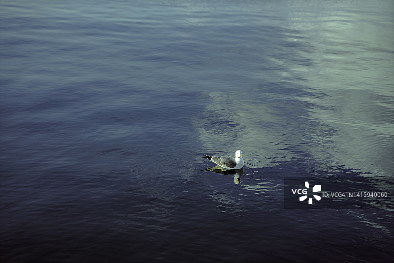 洞爷湖雪山风景图片素材