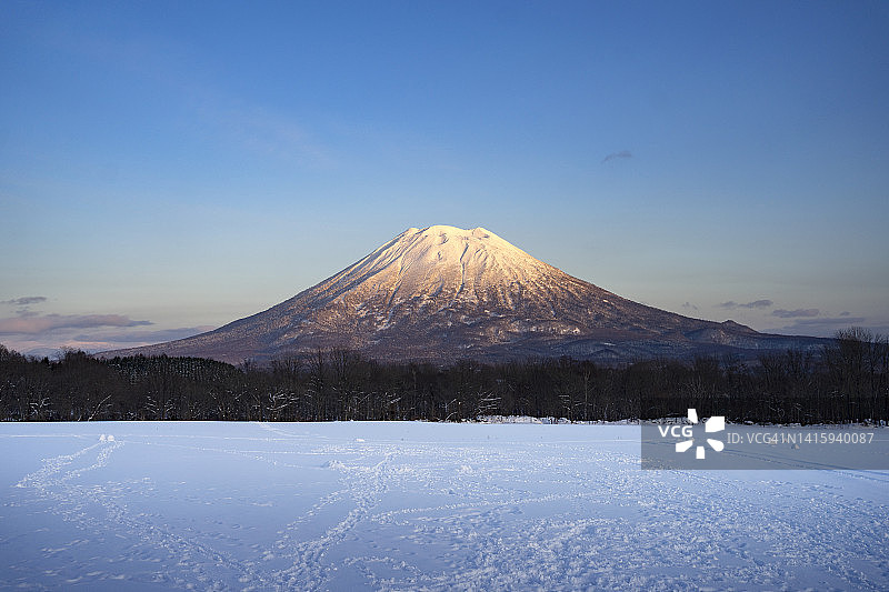 被白雪覆盖的富士山羊蹄山和新雪谷村庄附近的冬季森林美景，日本北海道，2019年图片素材