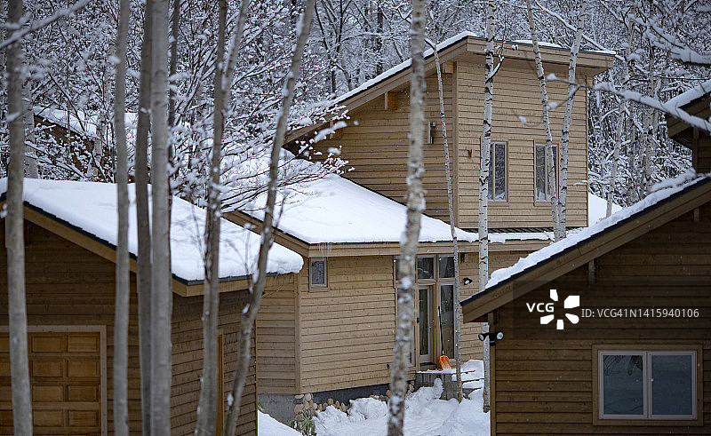 被白雪覆盖的富士山羊蹄山和新雪谷村庄附近的冬季森林美景，日本北海道，2019年图片素材