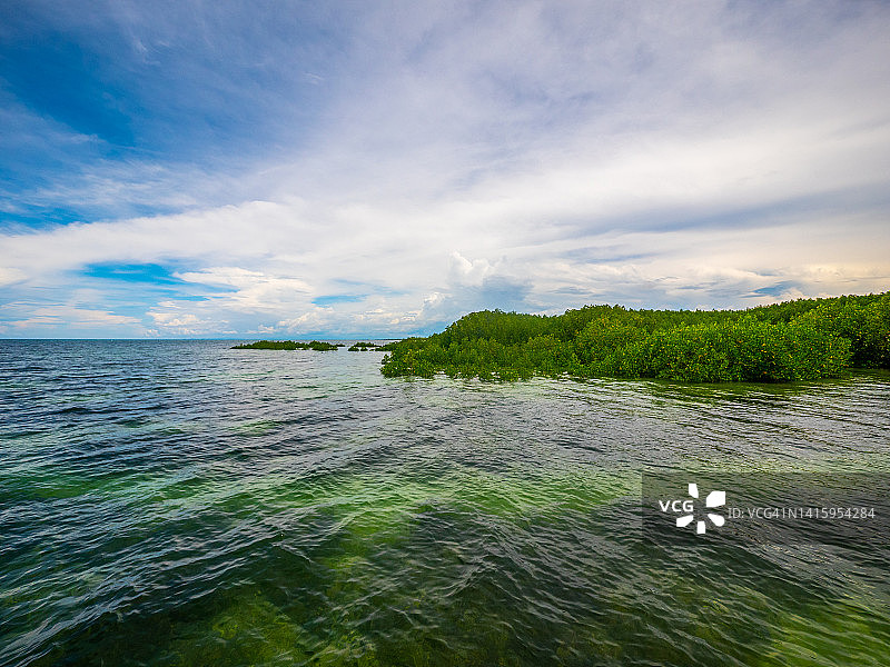 萨维营地，奥马吉卡奥博红树林花园，班塔延岛，圣达菲，宿务，菲律宾图片素材