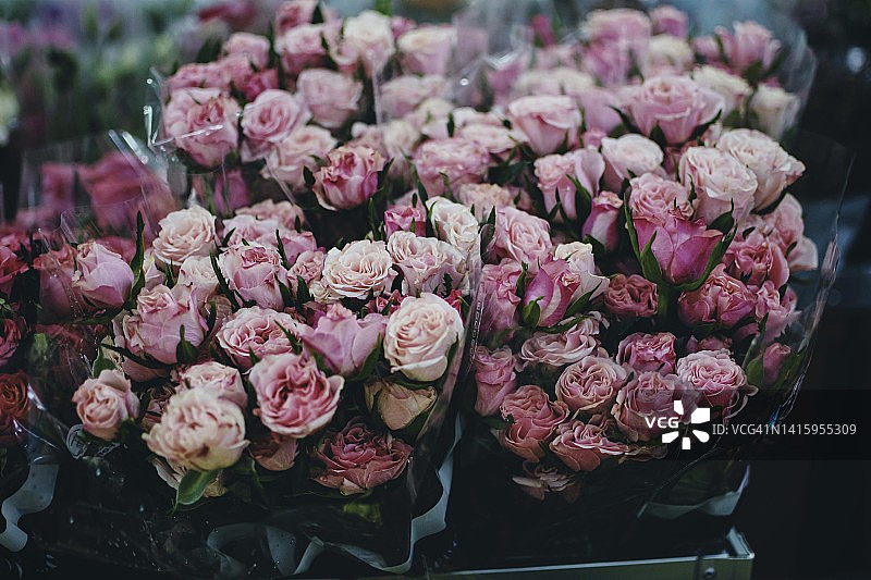 玫瑰花束特写图片素材