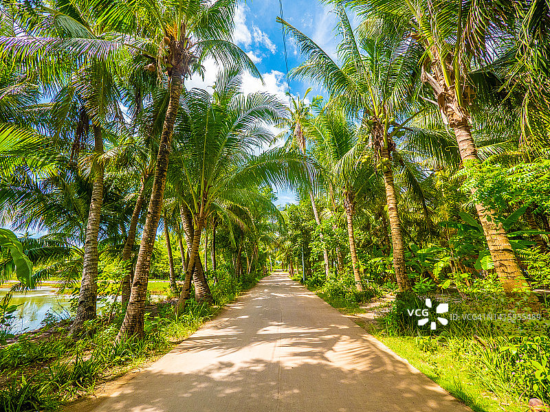 菲律宾宿务圣达菲班塔延岛热带风景公路图片素材