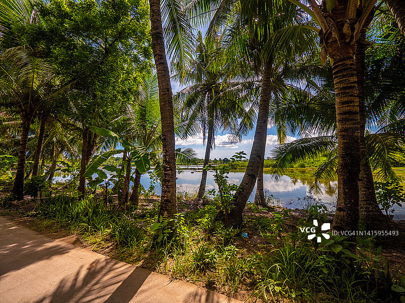 菲律宾宿务圣达菲班塔延岛的热带棕榈树图片素材