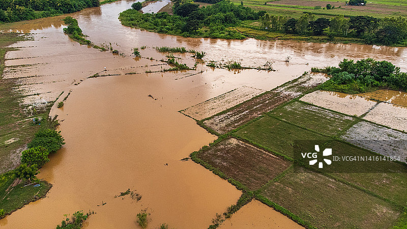 泰国北部乡村的洪水稻田图片素材