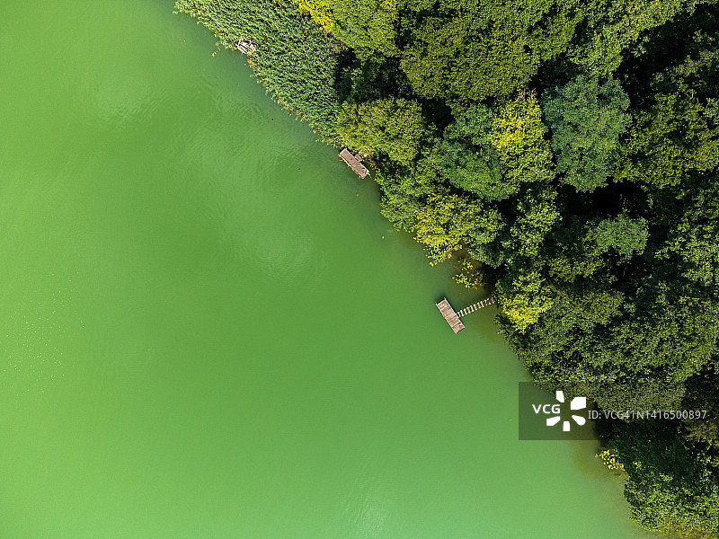 森林覆盖的湖岸和几个木制码头的鸟瞰图图片素材