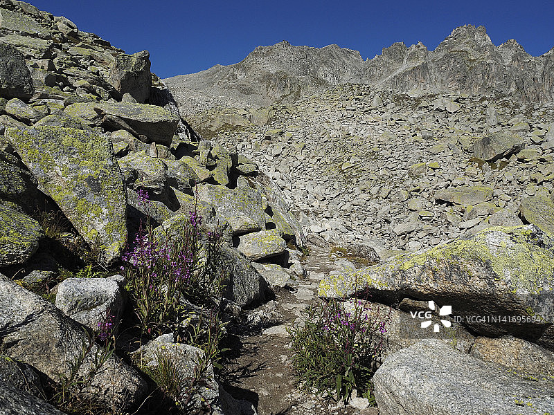 在瑞士著名“尼泊尔公路”沿途观赏格罗斯富尔卡峰图片素材