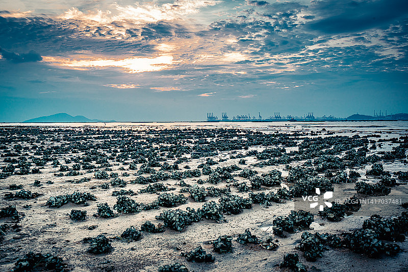 香港下白泥日落时分的蚝田图片素材