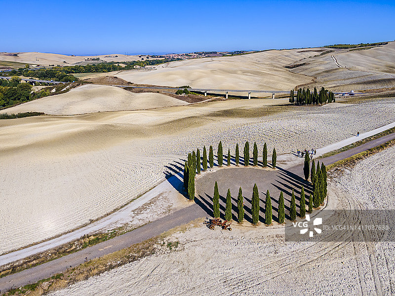 圣奎里科多尔恰的丝柏树图片素材