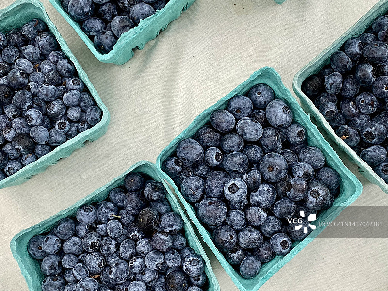 农贸市场的蓝莓容器图片素材