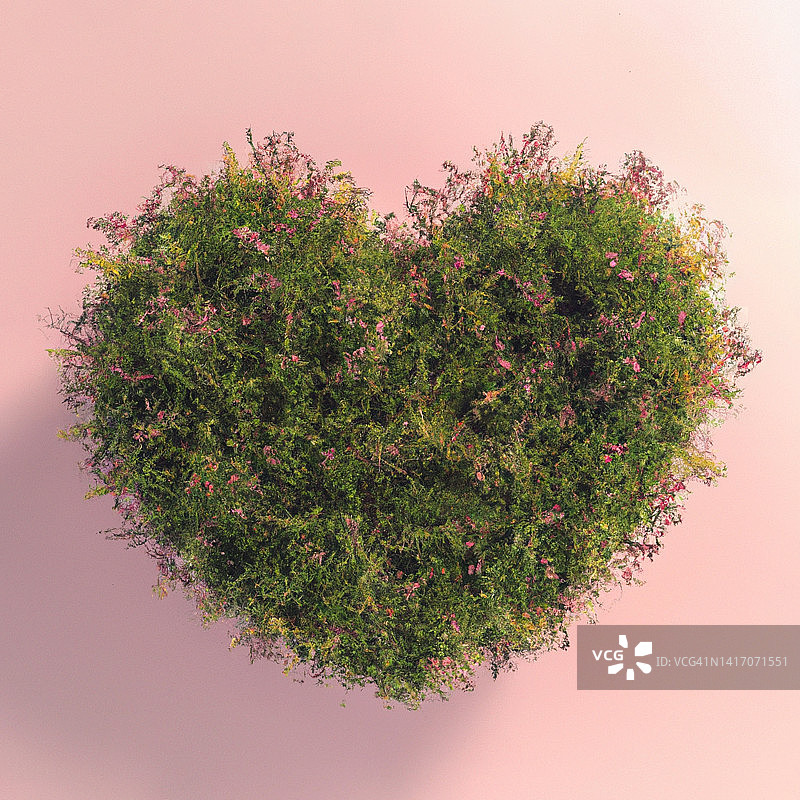 覆盖着草和花的心形图片素材