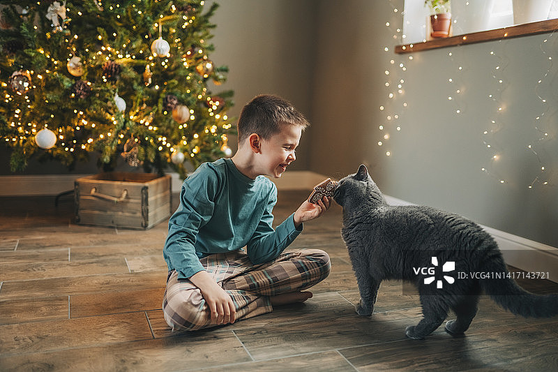 圣诞树背景，燃烧的彩灯，可爱的男孩穿着睡衣戴着圣诞帽，旁边有一只猫图片素材