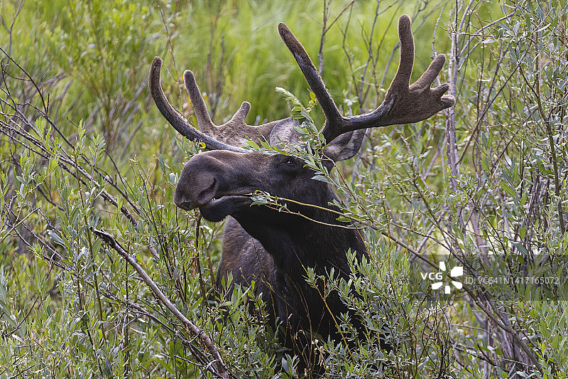 抓握和向右拉动图片素材