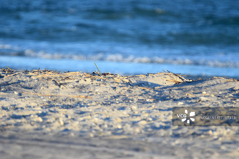 北卡罗来纳州顶帆海滩图片素材