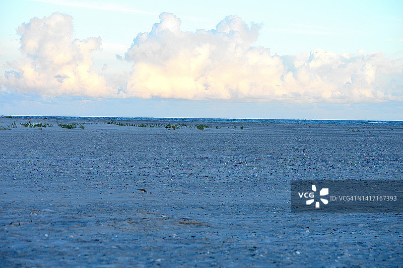 北卡罗来纳州顶帆海滩图片素材