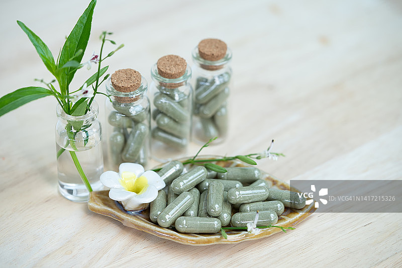 草药：穿心莲、芦荟图片素材