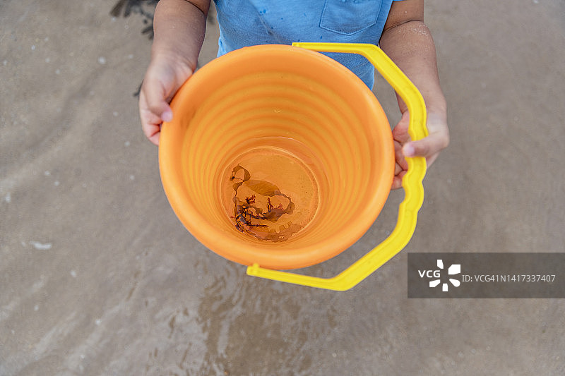 在海滩收集海藻图片素材