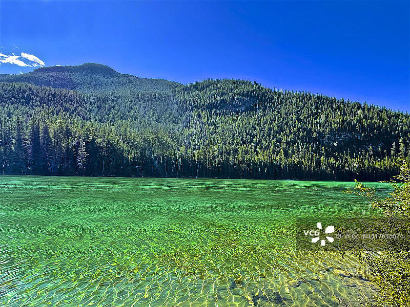 贾斯珀国家公园湖泊的纯净绿色清澈湖水图片素材