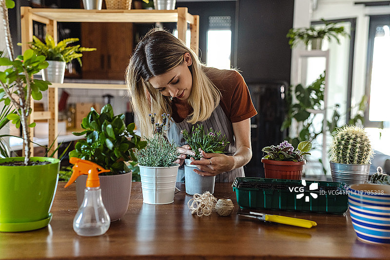 年轻女子在家投入爱好，享受园艺乐趣图片素材