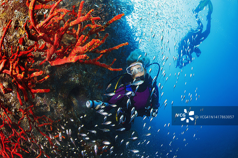 在沉船珊瑚礁潜水的金发女人，水下视角图片素材
