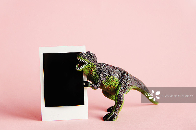 带空白即时打印转移的玩具恐龙图片素材