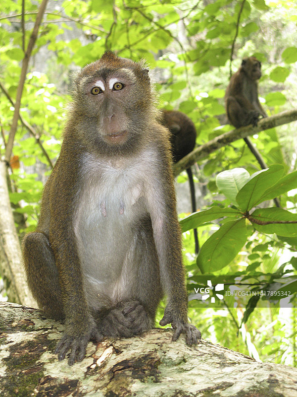 普林塞萨港地下河国家公园风光图片素材