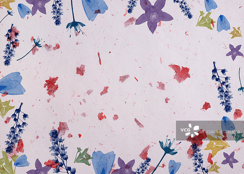 带有叶子纹理的桑葚纸图片素材