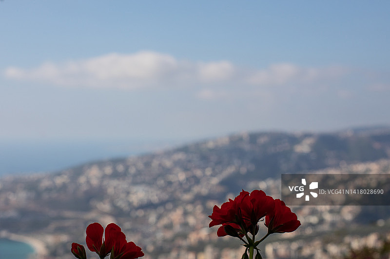 黎巴嫩朱尼耶旅游照片图片素材
