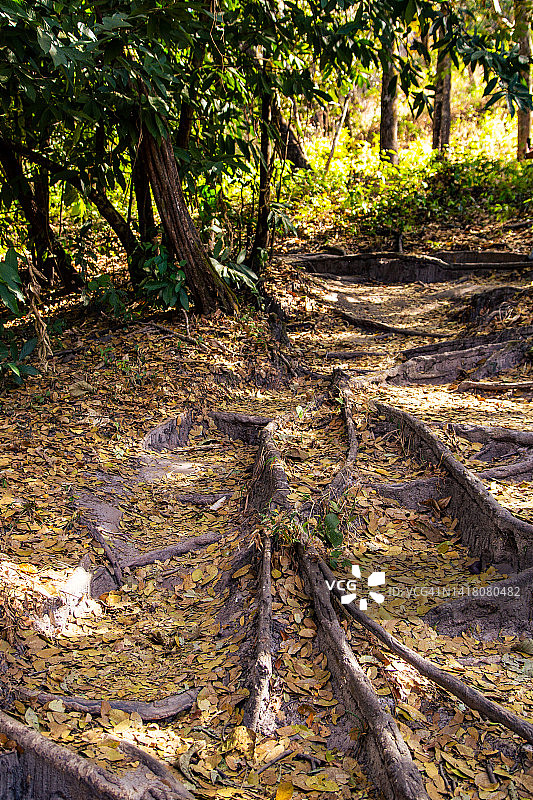 皮雷诺波利斯小径，戈亚斯，巴西图片素材