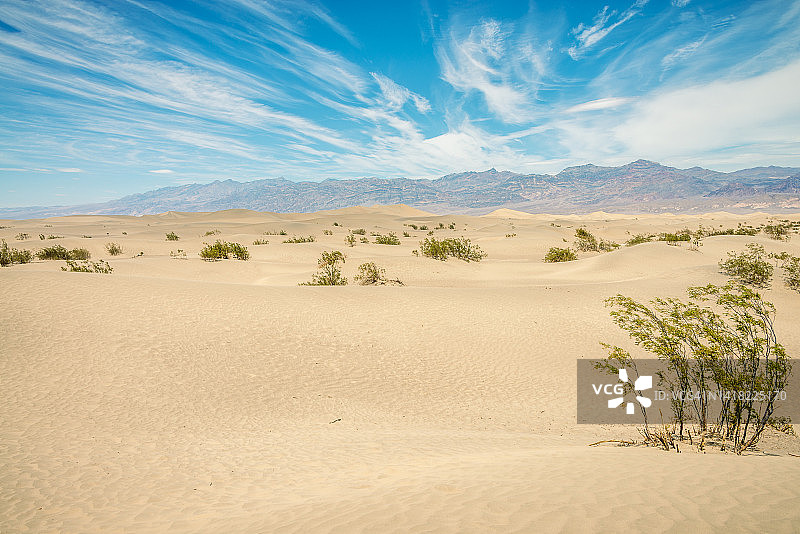 Mesquite平沙丘图片素材