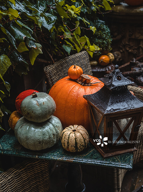 秋季假日南瓜摆件图片素材