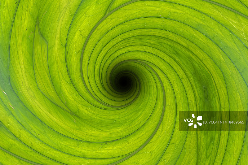 绿叶漩涡图片素材