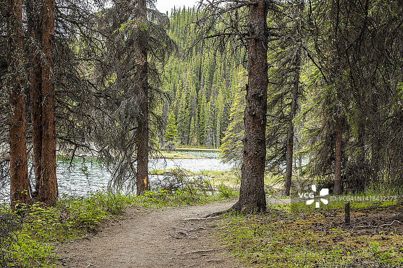 步行小径图片素材