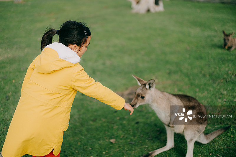 年轻女孩触摸小袋鼠图片素材