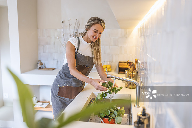 女植物学家在家照顾她的植物图片素材