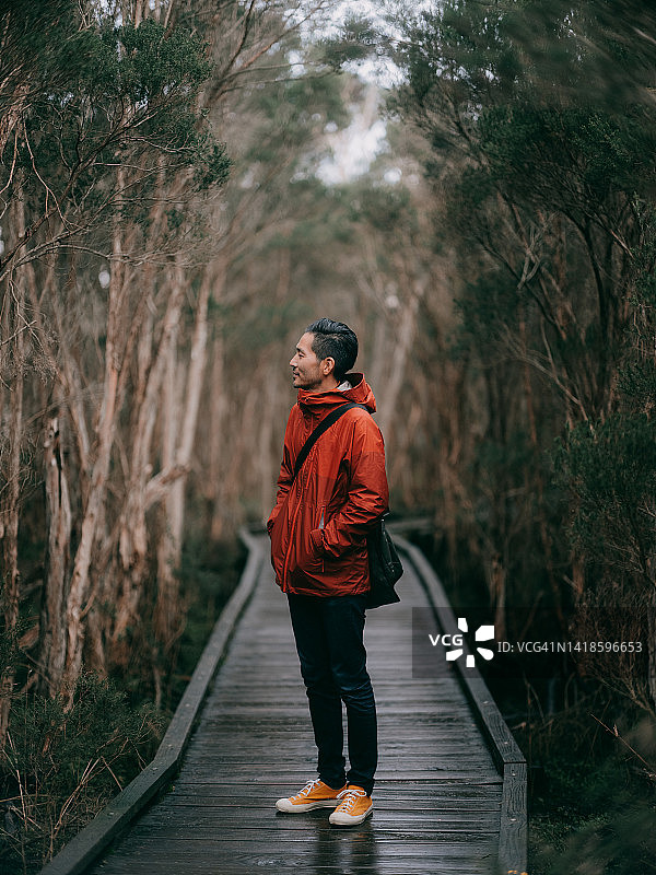 澳大利亚维多利亚州巴尔科姆湿地森林中的男子图片素材
