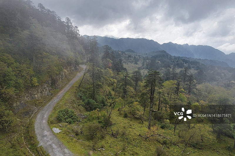 航拍：川西高原山脉中的原始森林图片素材