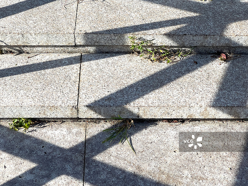 阳光下，从阶梯的裂缝中长出的草图片素材