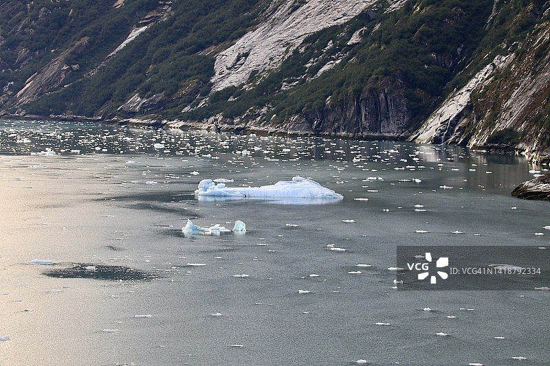 阿拉斯加翠西峡湾的冰山图片素材