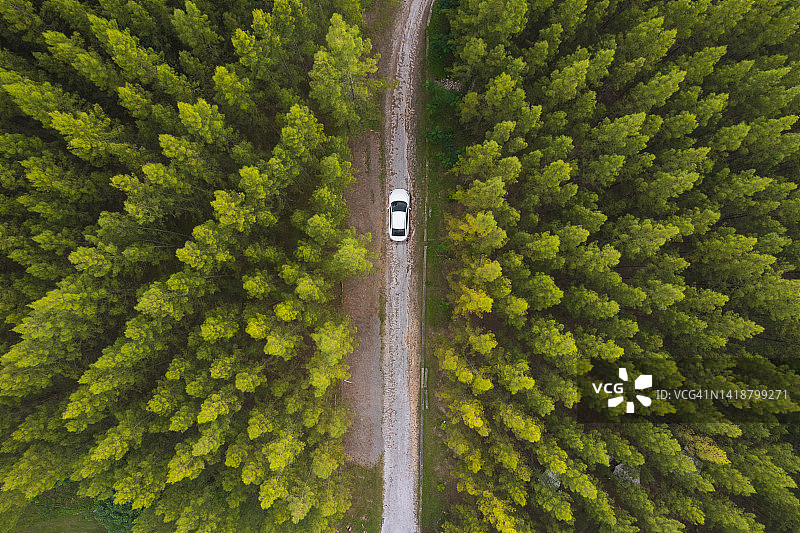 穿越森林的航拍视角图片素材