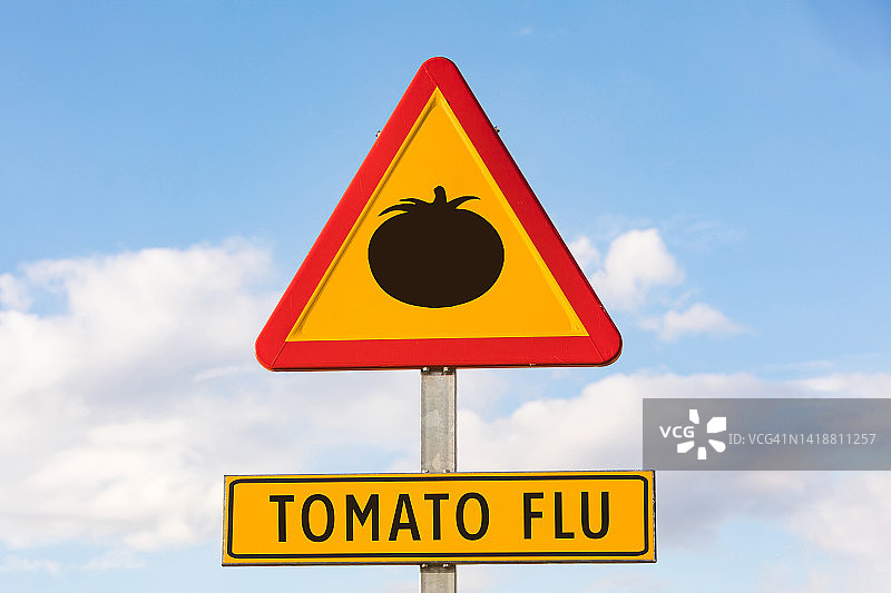 红色和黄色的危险标志，番茄和文字：番茄流感，天空为背景，交通标志、疫情、病毒、流行病、印度、儿童、口手足病毒概念图片素材
