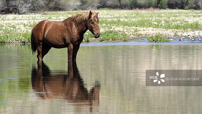 我还活着图片素材